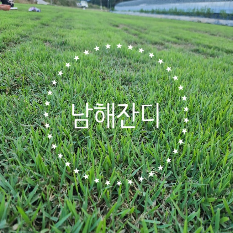  아름다운 자연경관 남해잔디 배송