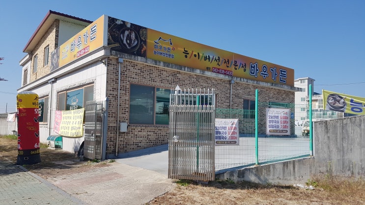  증평 맛집 - 바우가든, 제육볶음.