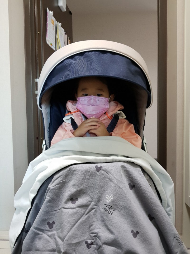 유모차 셀프 세탁방법, 잉글레시나 트릴로지 유모차 세탁방법
