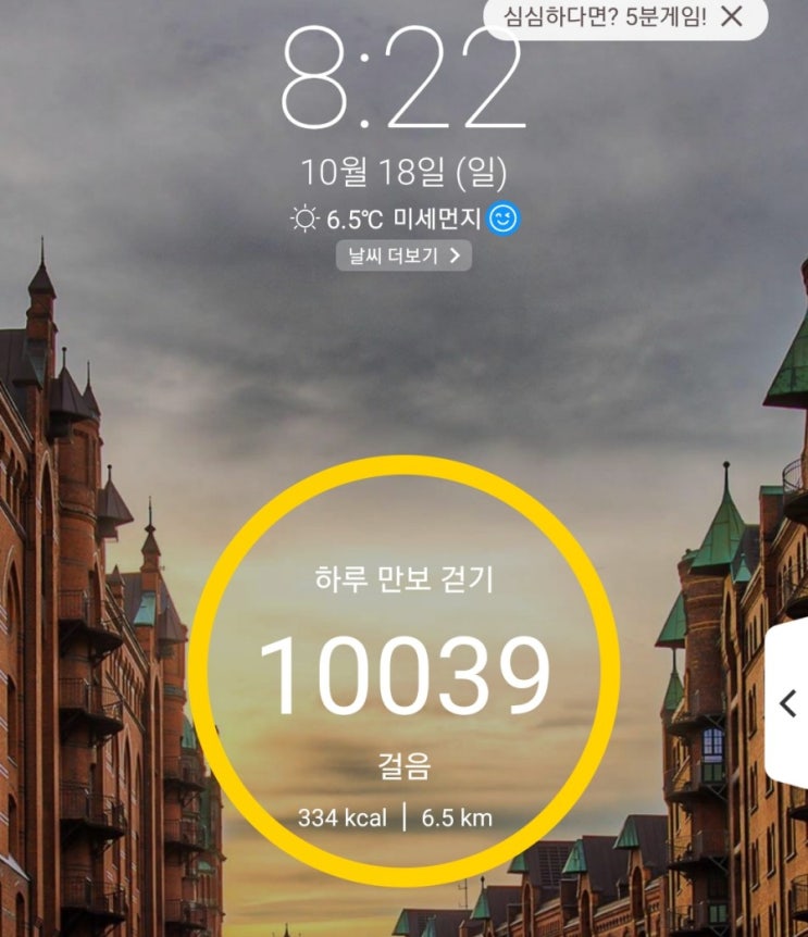  하루만보 걷기 작심4일차 사마귀의 배짱