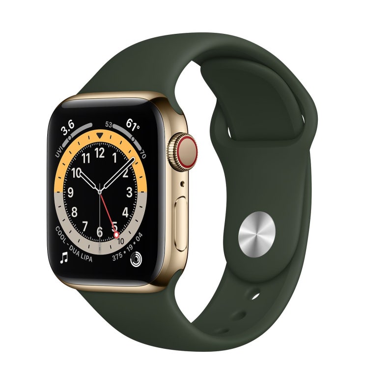  Apple 2020년 애플워치 6 GPS + 셀룰러 40mm 레귤러, 골드 스테인리스 스틸(케이스), 사이프러스 그린(스포츠 밴드)
