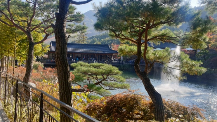  [경기도 광주 여행] 서울근교 단풍명소 곤지암 화담숲 가을 풍경