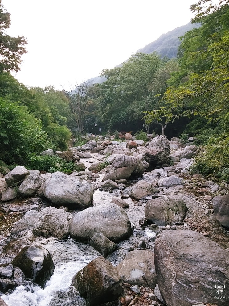 화야산 계곡 화야큰골