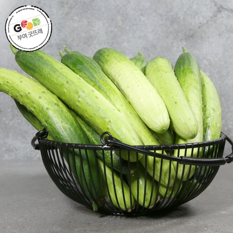 우리네농산물 굿뜨래 다다기 오이 특 산지직송_NH, 1개, 5kg