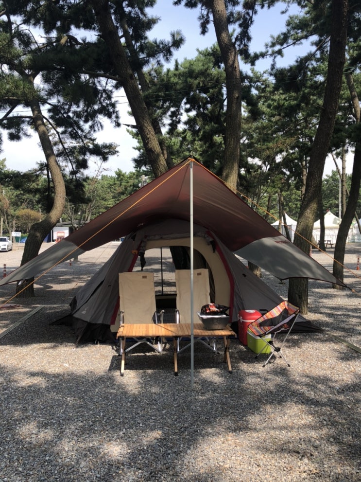  몽산포 오토캠핑장 1구역 :: 몽산포해수욕장 맛조개 잡기