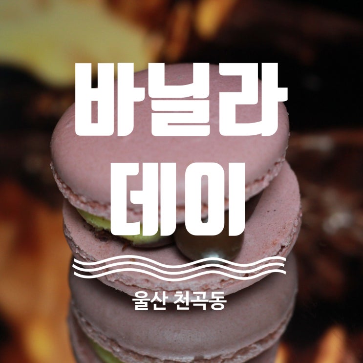 울산 마카롱 맛집 천곡 마카롱 핫플 바닐라데이