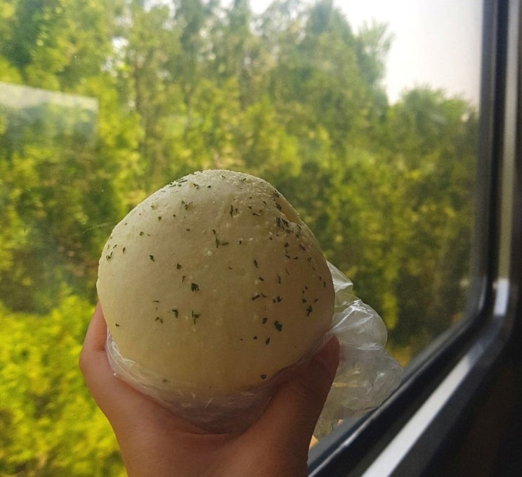  [지난 여행 일기] "내일로 기차 여행"_안동에서의 Day 2/월영교, 일직식당, 맘모스제과, 미술관 커피, 안동에서 경주로!