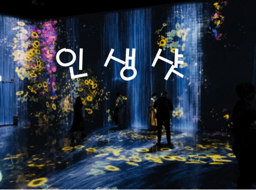 인생샷 포토존으로 유명한 teamLab : Life 展 데이트 + 아이와 관람 추천 인생샷 포토존으로 유명한 teamLab : Life 展 데이트 + 아이와 관람 추천