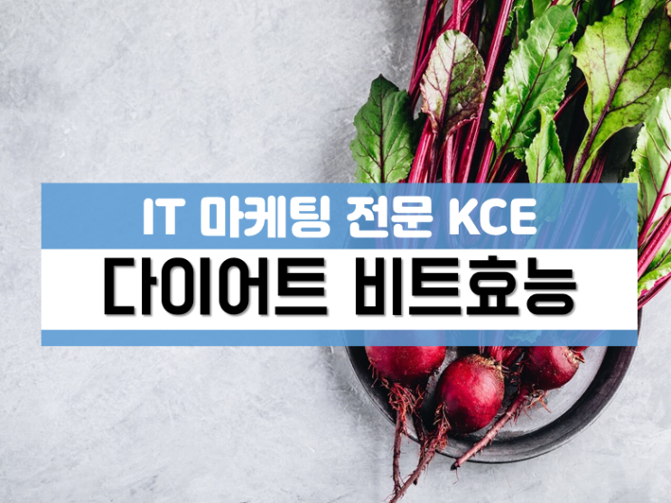  비트효능 혈관청소는 물론 다이어트까지
