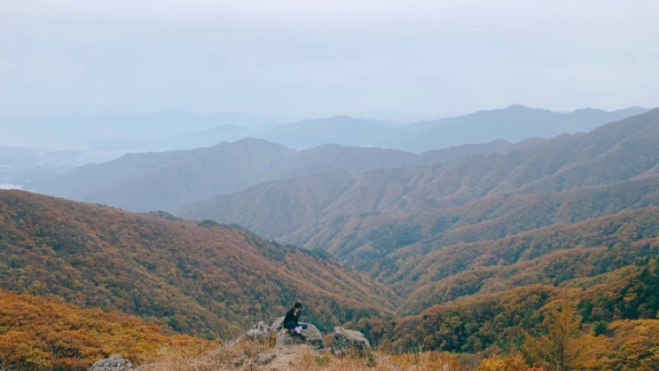  10월 셋째 주