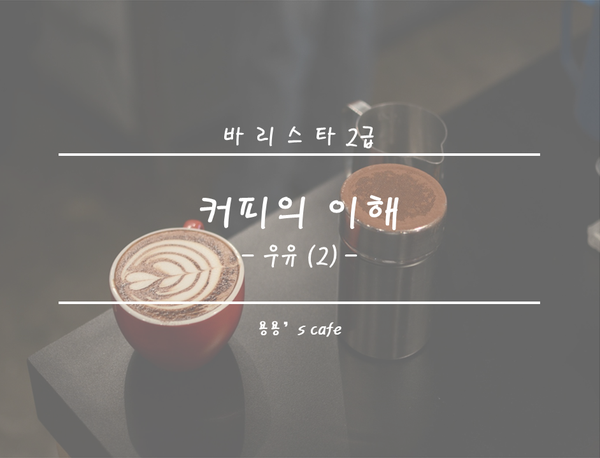 [ 바리스타 2급 ] 커피의 이해 - 우유 (2)