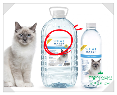  캣워터, 성분과 원리 알고계시나요?