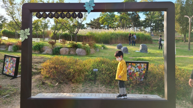  대구 숲놀이터 핑크뮬리와 갈대숲이 있는 이현공원