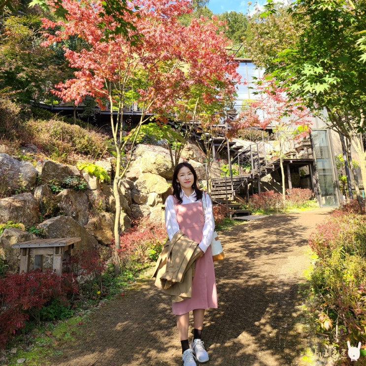  곤지암 화담숲 단풍 구경 (예약 필수!)