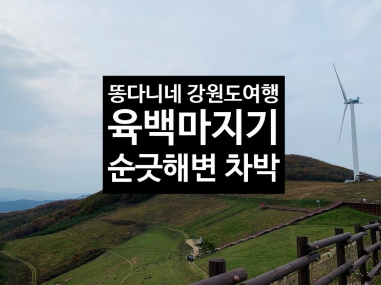  똥다니네 강원도 여행 육백마지기 순긋해변 차박캠핑