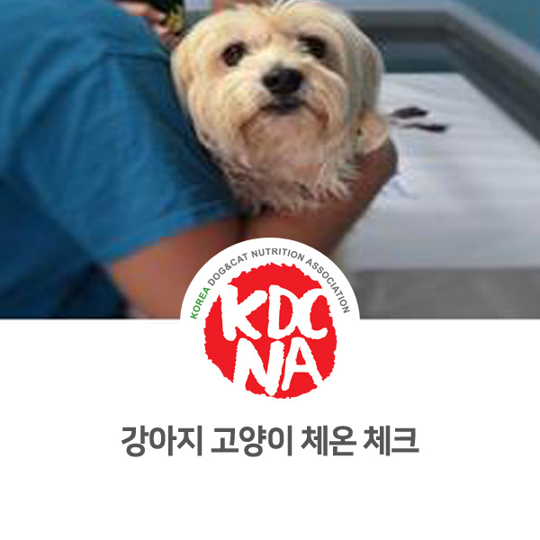  [익산 나의반려 반려동물 펫푸드] 강아지 고양이 체온 체크하는 방법_650
