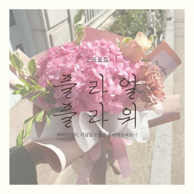 군자꽃집 플라얼플라워 수입꽃 수국꽃다발(feat.빼빼로데이 선물) 군자꽃집 플라얼플라워 수입꽃 수국꽃다발(feat.빼빼로데이 선물)