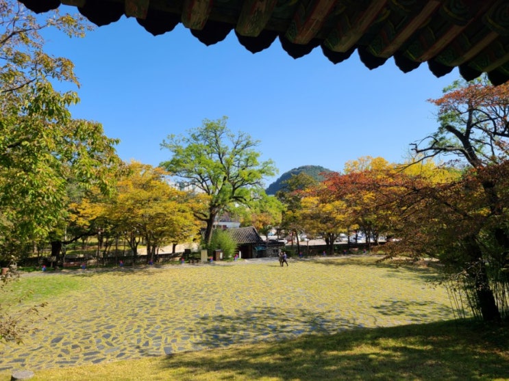  단풍잎 예쁘게 물든 삼척 죽서루