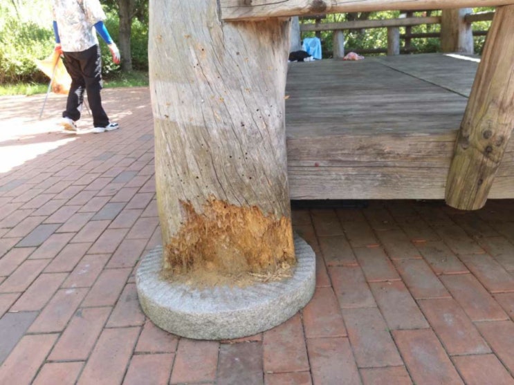  문화재수리 문화재보수 쉼터보수 원두막보수 정자수리 정자보수 시설물유지관리 시설물보수 원두막수리