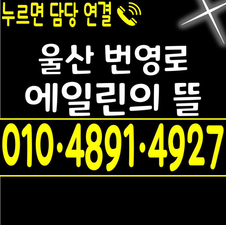  울산 학성동 번영로 센트럴 에일린의 뜰 홍보관