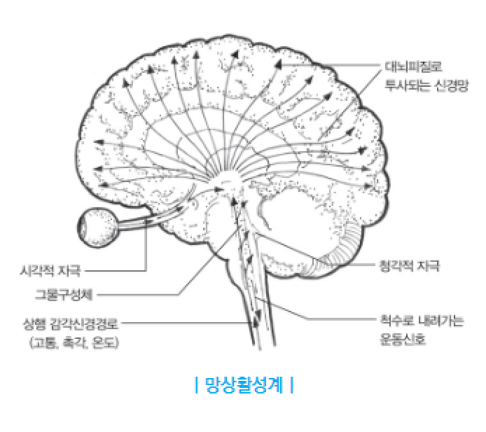  아침의 독서 - 결국해내는 사람들의 원칙1