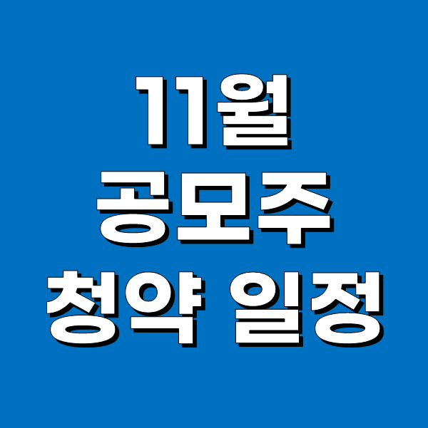 11월 공모주 청약 일정