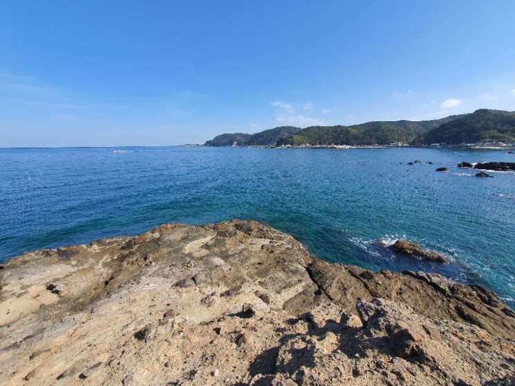  출근전 볼락낚시