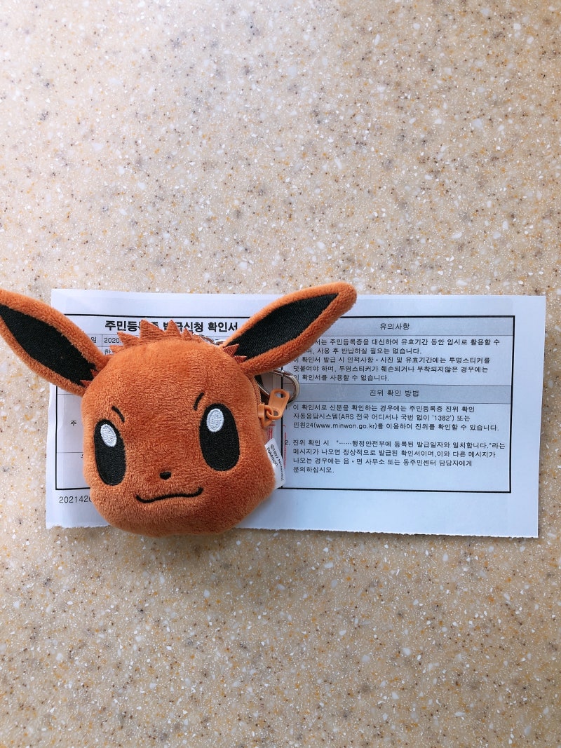 신분증 재발급 : 네이버 블로그