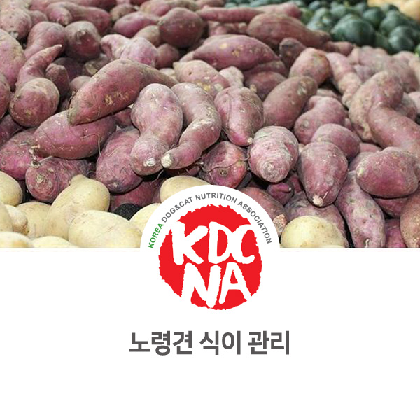  [익산 애견수제간식 창업] 펫영양사 나의반려가 알려주는 노령견 식이관리_649