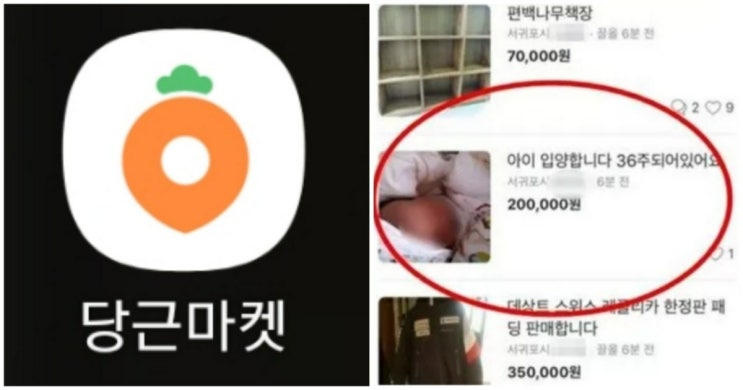 당근마켓 아기 입양 판매 36주 제주 미혼모 아이 신생아 당근마켓 아기 입양 판매 36주 제주 미혼모 아이 신생아