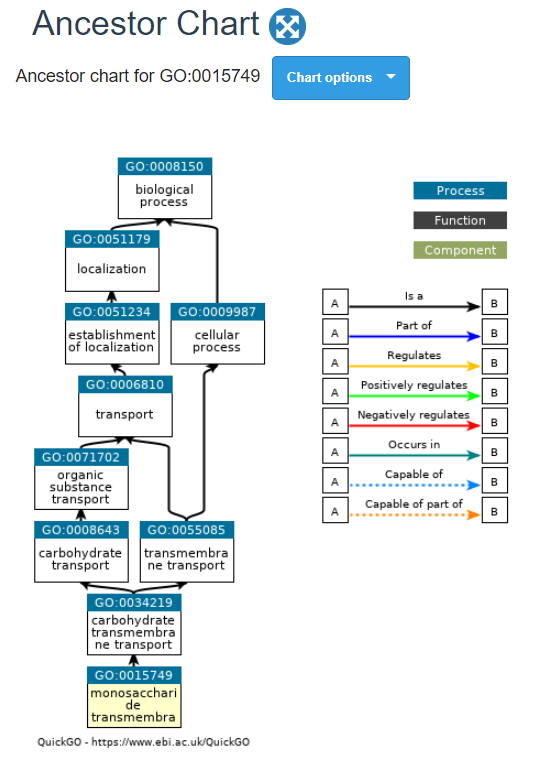  pathway분석) pathway 분석이란