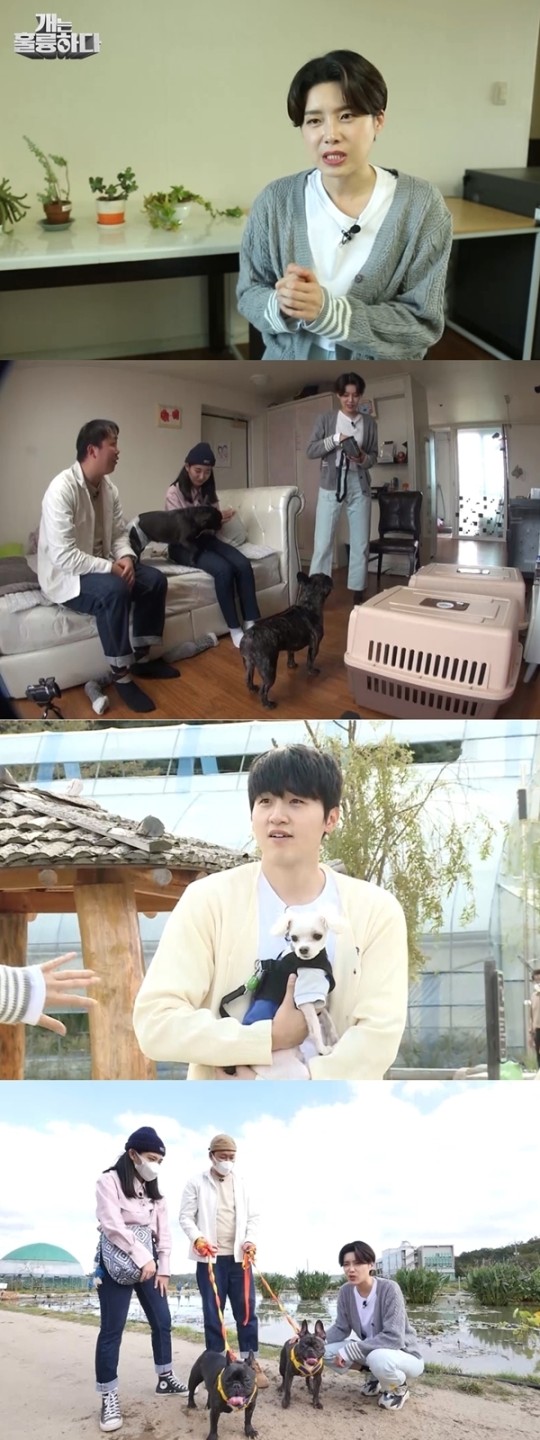 ‘<b>개훌륭</b>’ 장도연 어설픈 <b>훈련</b>에 이경규는 맹비난, <b>강형욱</b>은... 