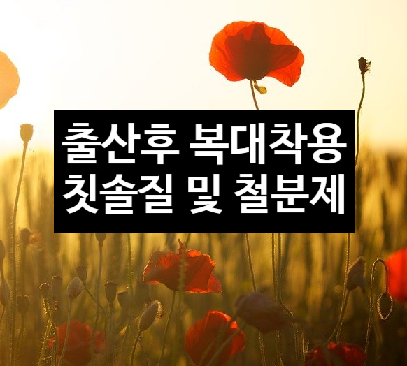  출산 후 복대착용 칫솔질과 철분제 복용