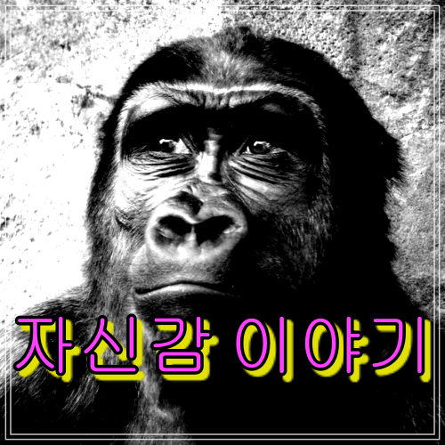  자신감 이야기