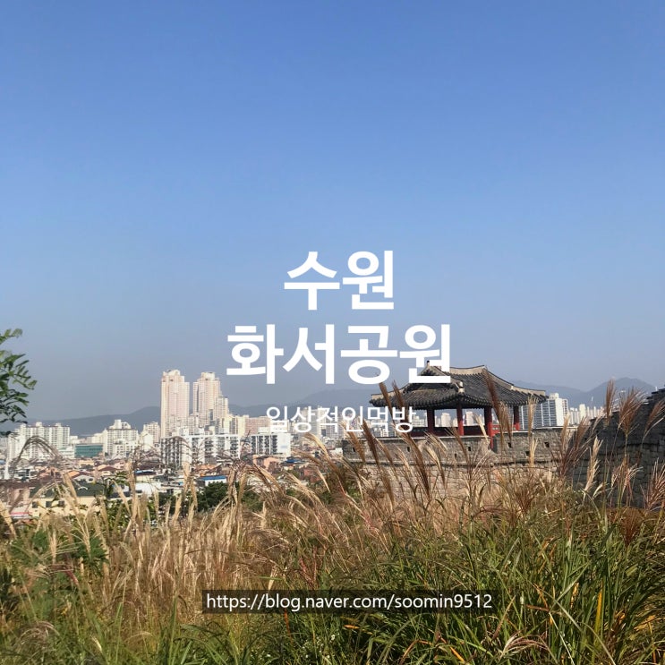  수원 화서공원 억새맛집으로 사진찍기 좋아요