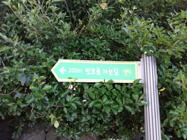  어린이들의 놀이터이자 제주시민들의 산책로인 민오름