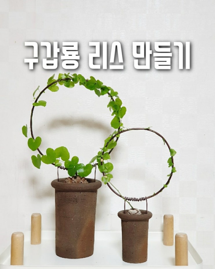  구갑룡 리스 만들기