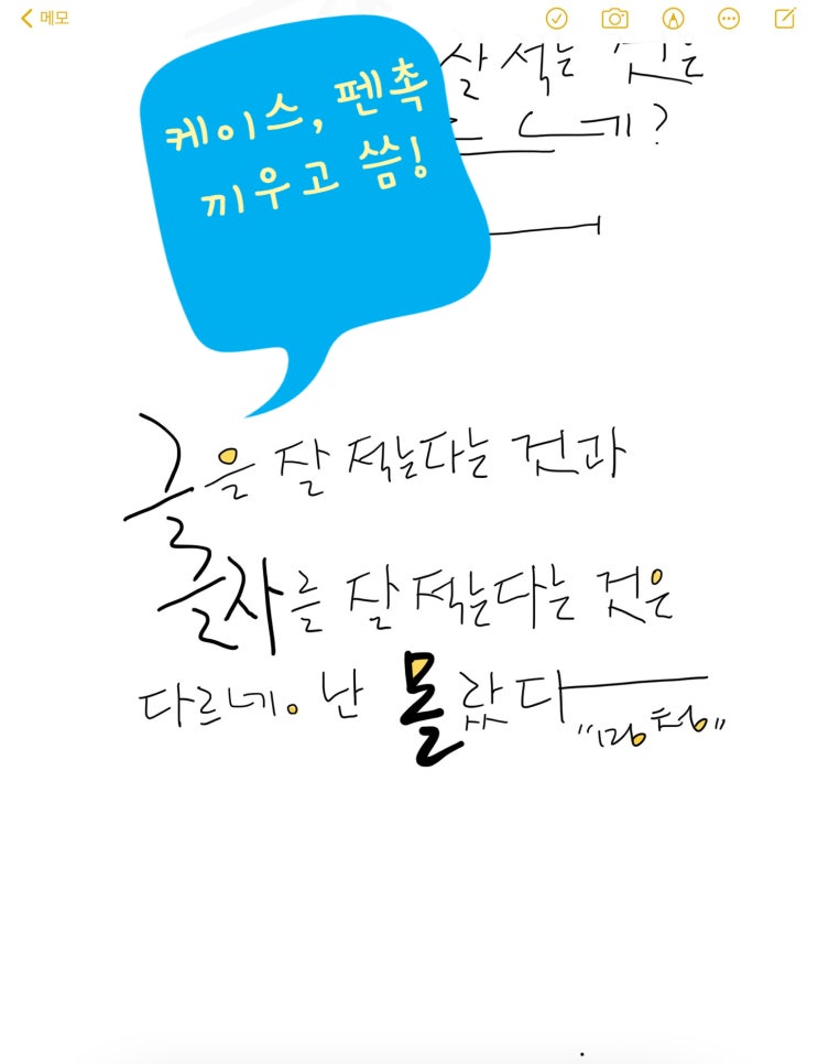 애플펜슬 케이스 촉감과 펜촉 필기감 애플펜슬 케이스 촉감과 펜촉 필기감