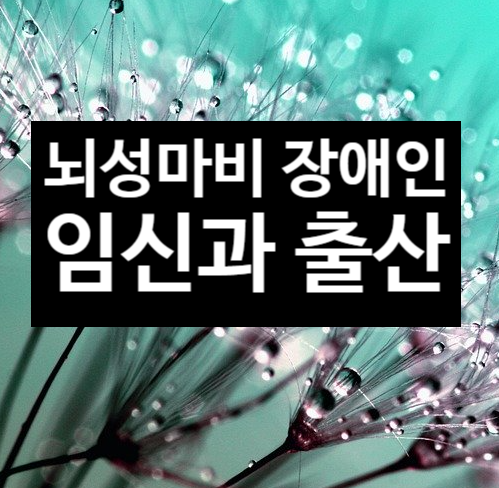  뇌성마비 여성장애인 임신 출산 사례(1)