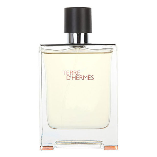  에르메스 떼르 데르메스 오 드 뚜왈렛(EDT), 정식병행수입, 100ml