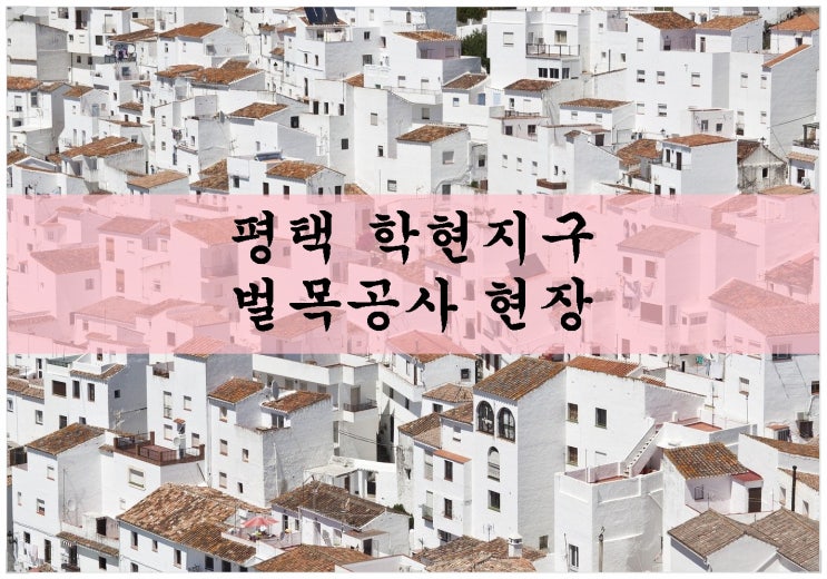  평택 학현지구 벌목공사 현장. 2020년 10월 19일