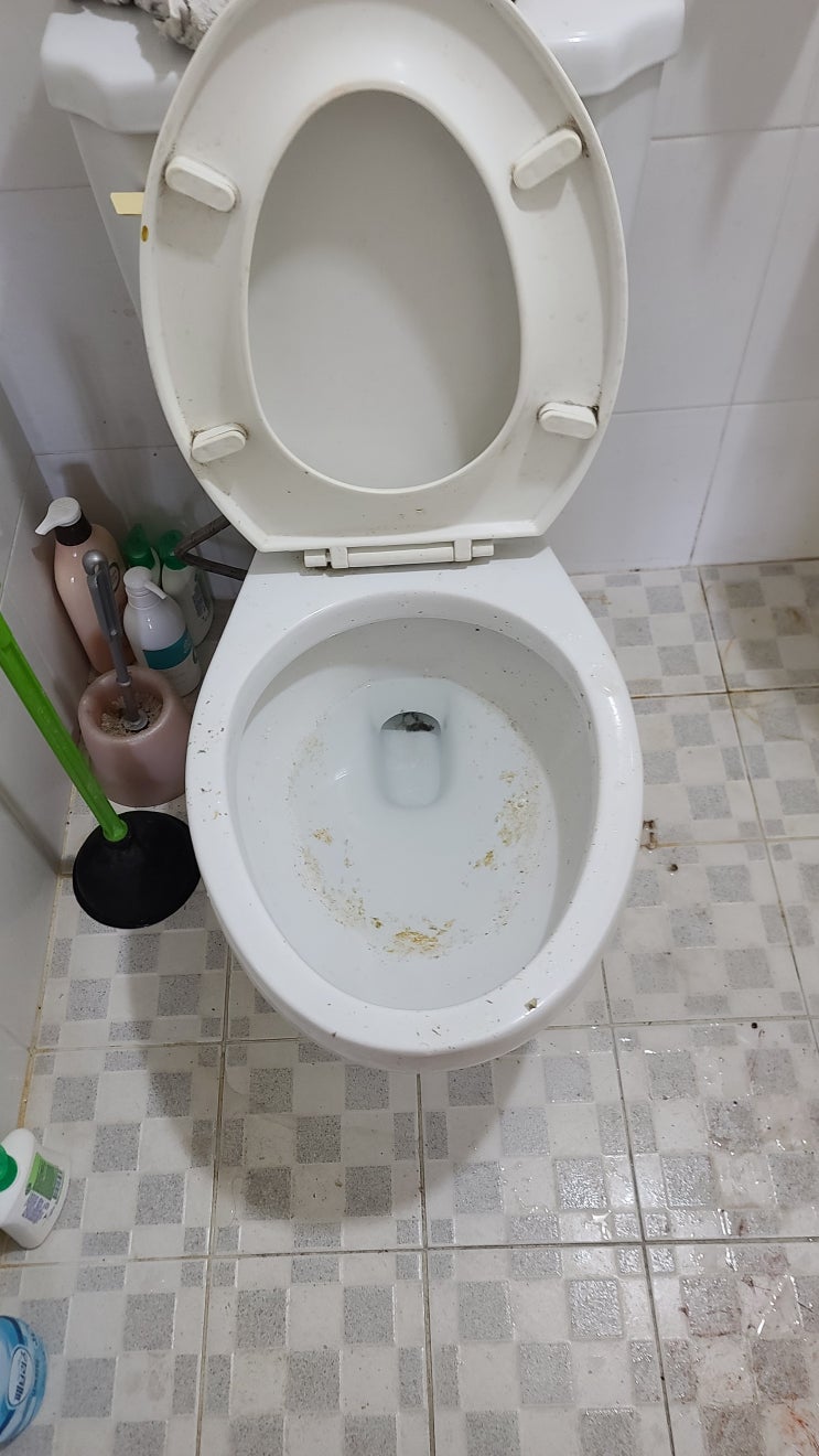 서울 송파구 삼전동 변기막힘, 변기뚫는업체, 변기막혔을때, 서울 송파구 삼전동 변기막힘, 변기뚫는업체, 변기막혔을때,