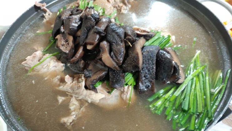  [제천 맛집] 명도리옻닭백숙 능이오리백숙 참 좋네요.