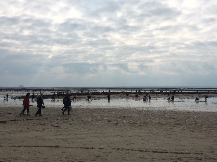 Grandes Marées: 프랑스 해변에서 조개 줍는 날