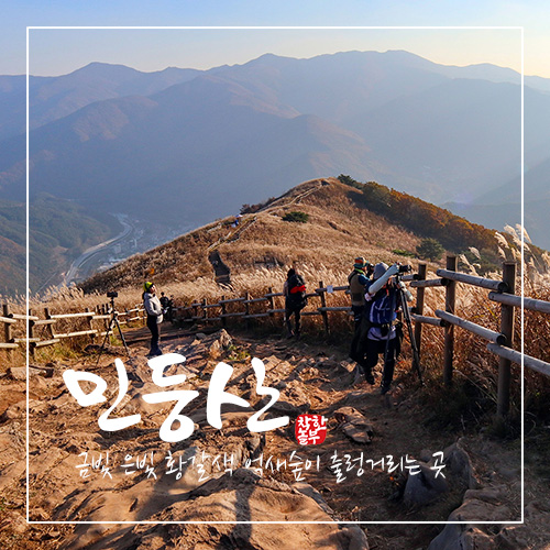  민둥산의 가을 산등성이는 황갈색 억새숲이 출렁거리는 억새꽃의 너른 바다가 된다.
