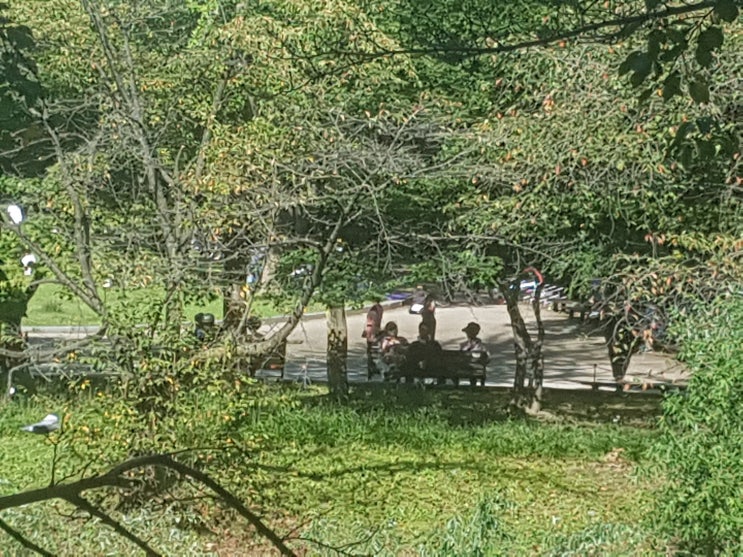 독감예방주사 사망사고 발생했네요