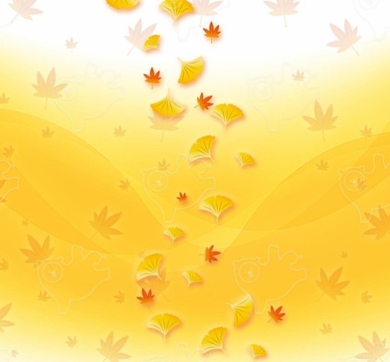  은행 나무(Ginkgo tree) 