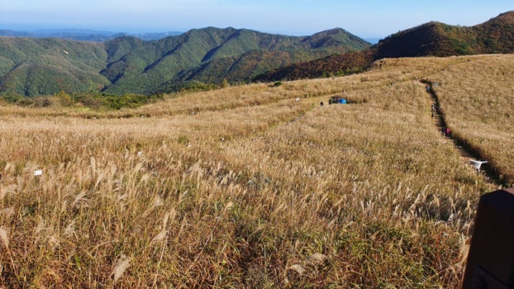  경주무장산 무장봉 억새밭 추억만들기