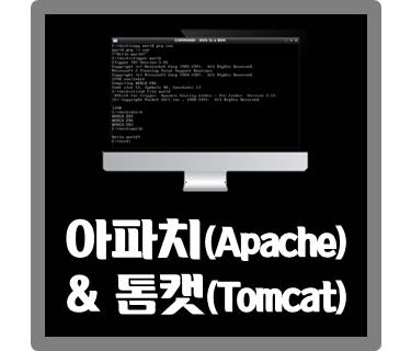 [IT용어] 아파치(Apache)와 톰캣(Tomcat)