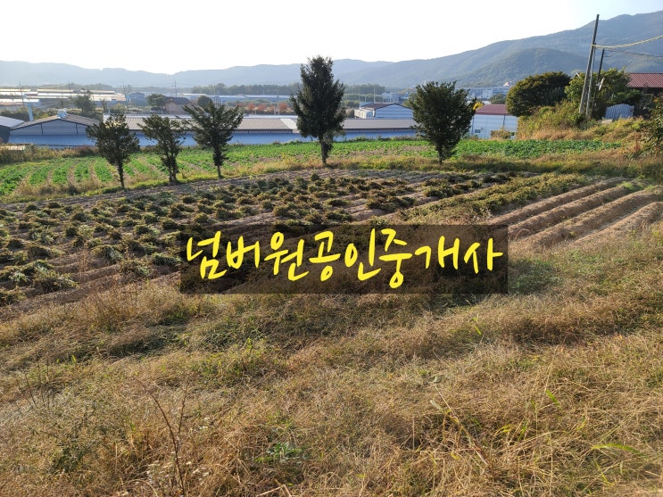  포천시 설운동 토지매매